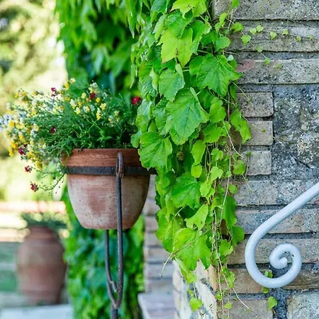 Podere La Piscina- Acqua Termale E Relax